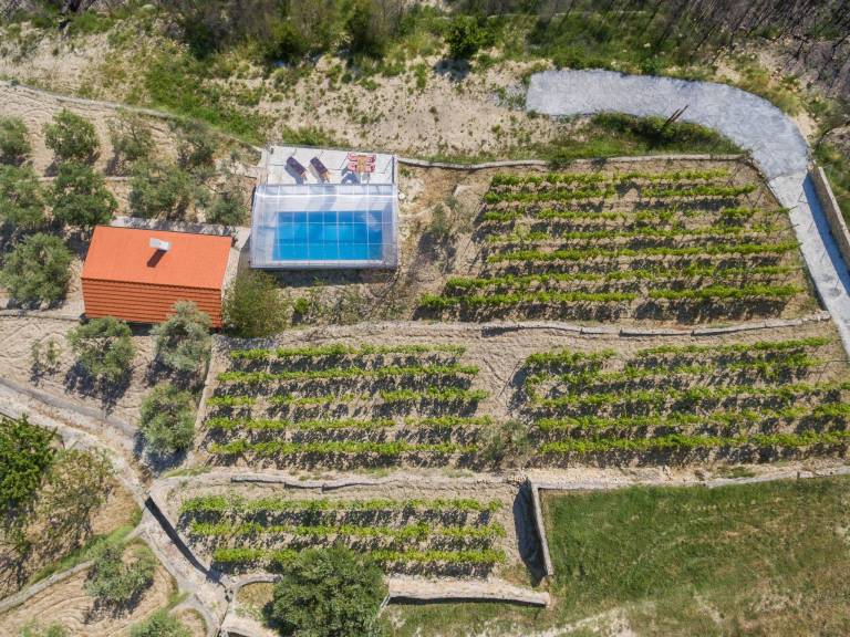 House with private pool, BBQ & terrace | Nature view | Pets are welcome — photo 3