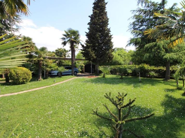 House with BBQ, garden & patio | Nature view — photo 3