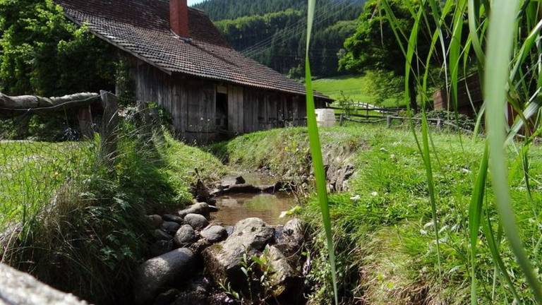 Ferienwohnung Oberwolfach