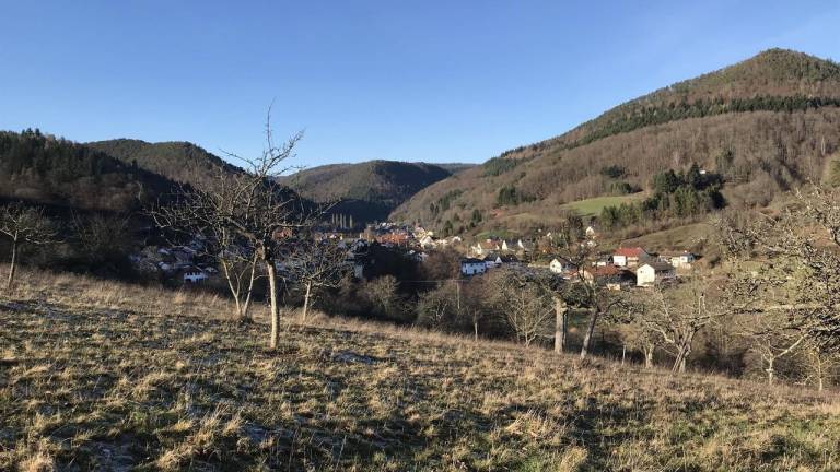 foto11
