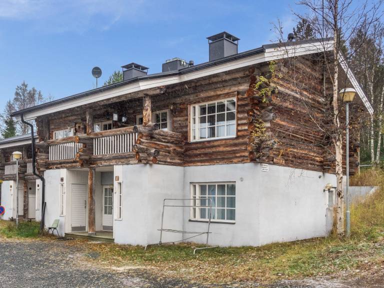 Vacation home with sauna & terrace — photo 3