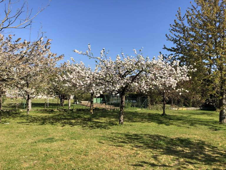 foto15