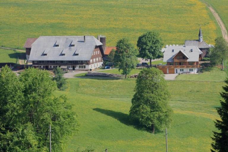 foto10