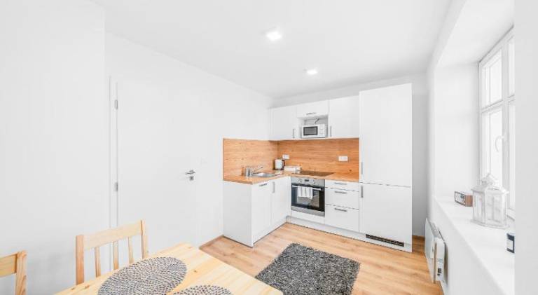 Apartment with 1 room for 3 persons — photo 3