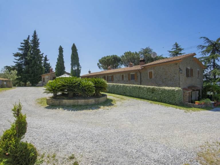 foto2