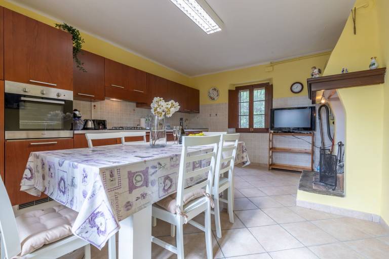 foto46