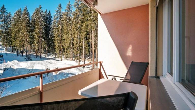 Ferienwohnung mit Hund in Arosa f&uuml;r max. 3 Personen