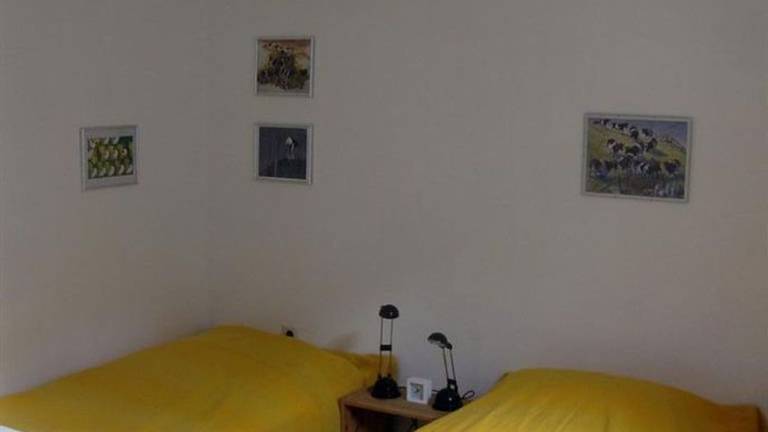 foto12