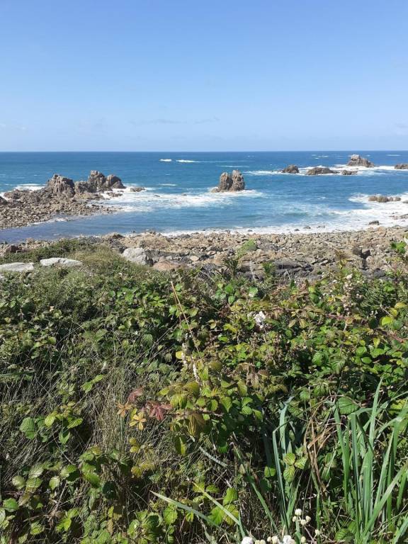 Maison de vacances Pleubian