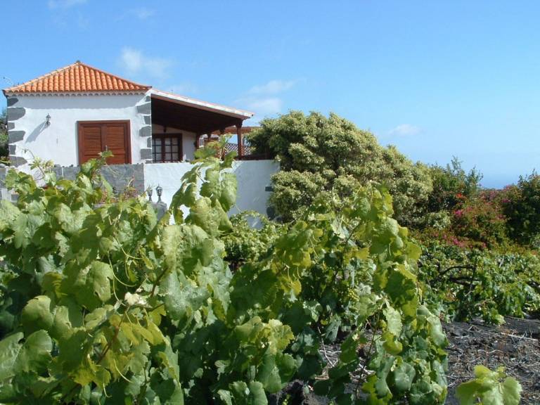 House with terrace, BBQ & garden — photo 3