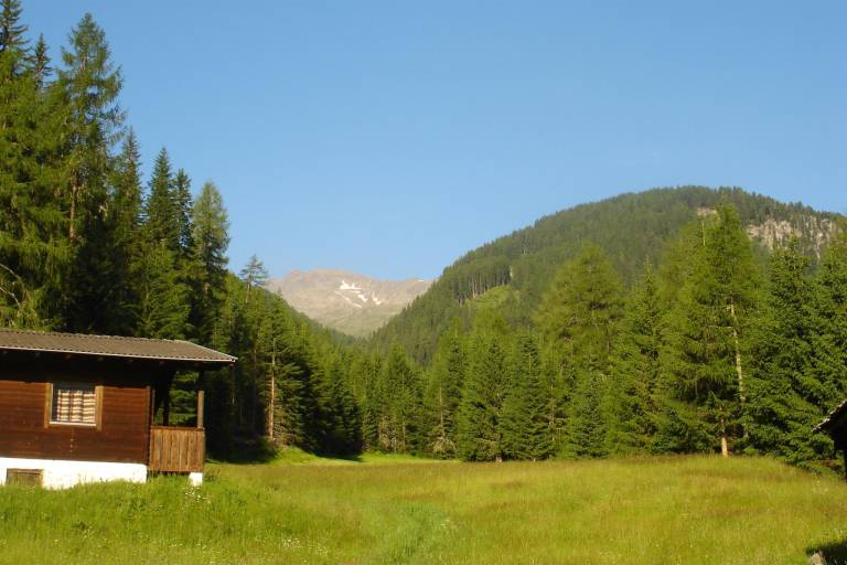 foto16