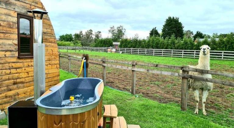 Skipbridge farm glamping — photo 4