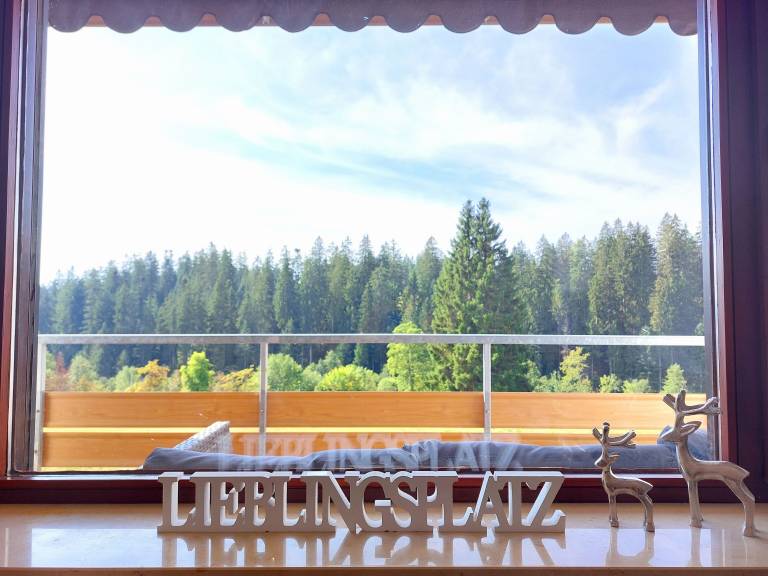 Ferienwohnung Kniebis