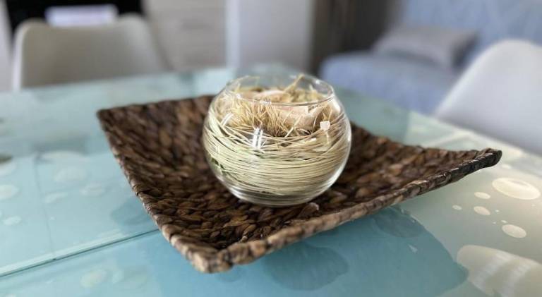 Rental apartment | Pets are welcome — photo 5