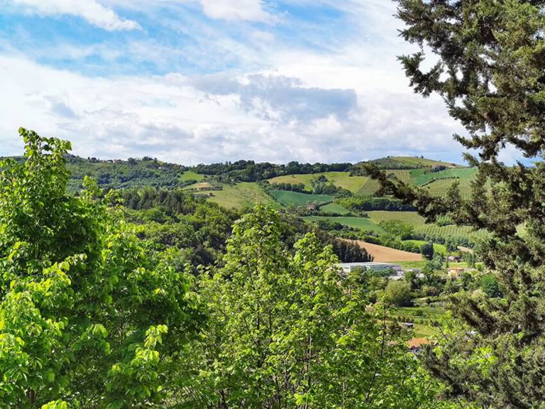 Villa  Ripatransone