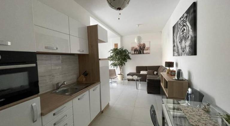 Holiday apartment | Pets are welcome — photo 3