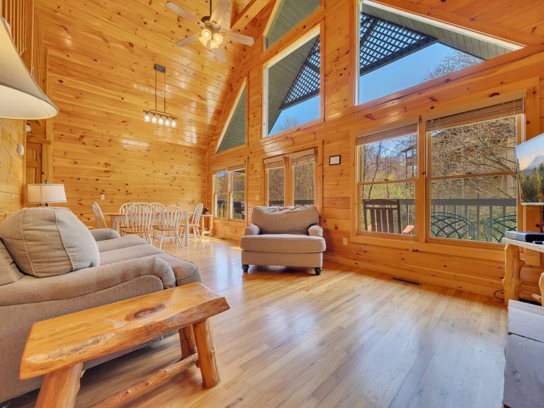 Family-friendly cabin with private pool | Pets allowed — photo 4