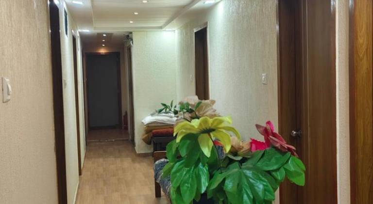 Hotel shree tapovan — photo 2
