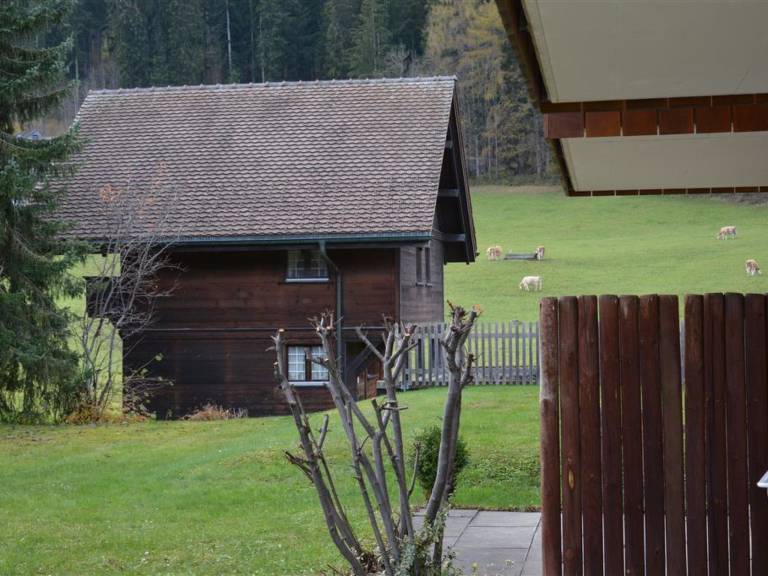 foto6