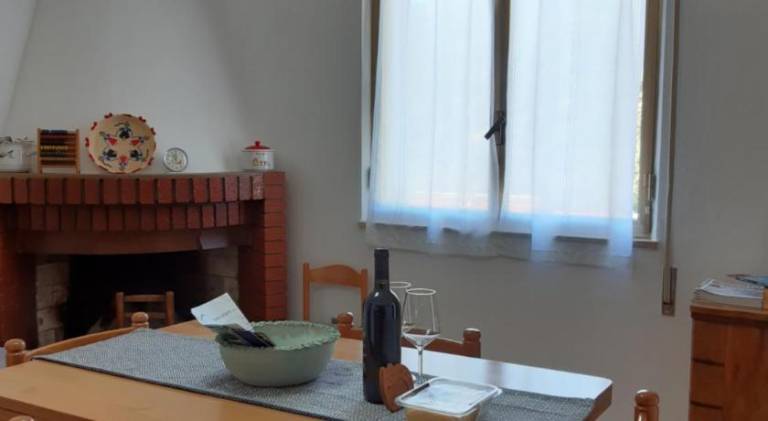 Big house | Pet-friendly — photo 3