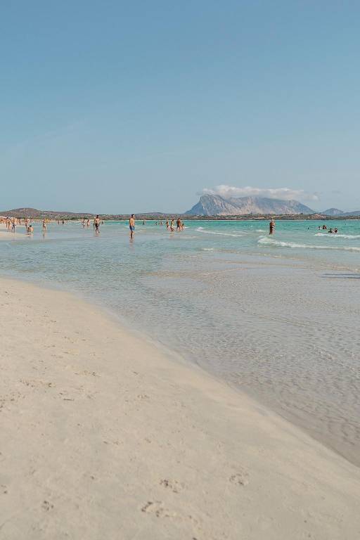 Hotel Le Rose in San Teodoro