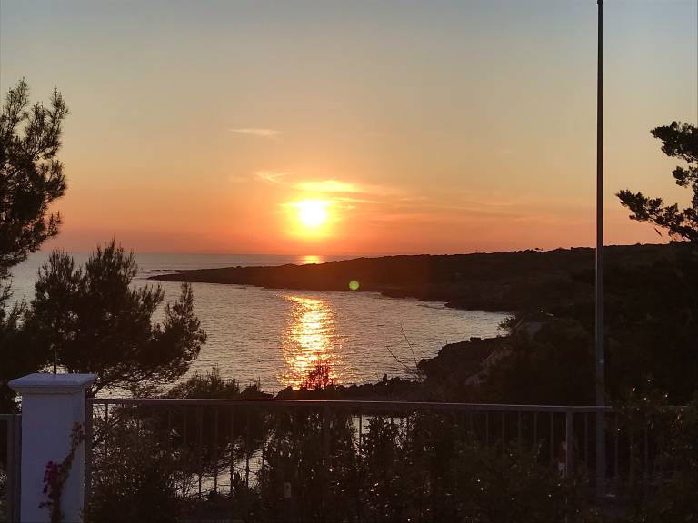 foto12