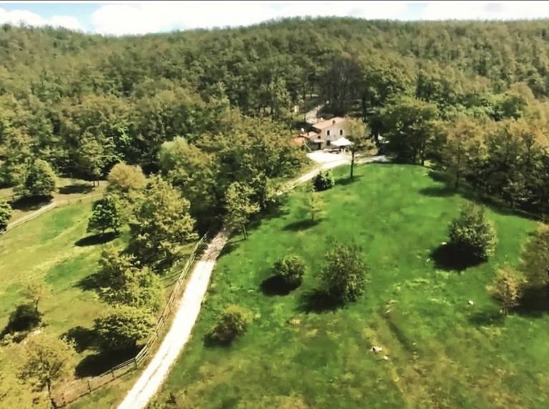 Privatzimmer Castelnuovo di Val di Cecina