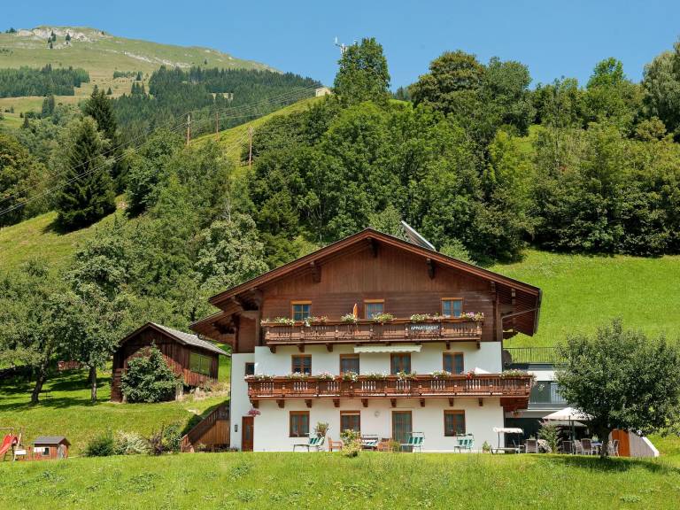Ferienwohnung Dorfgastein