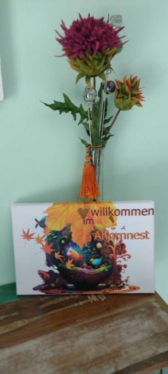 foto23