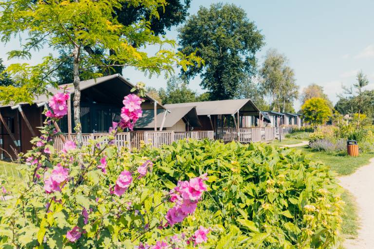 Enjoy a unique stay in the Tiny Safari House at De Boshoek: Comfort in nature for 4 people with luxurious amenities and a great location in the Veluwe. — photo 2