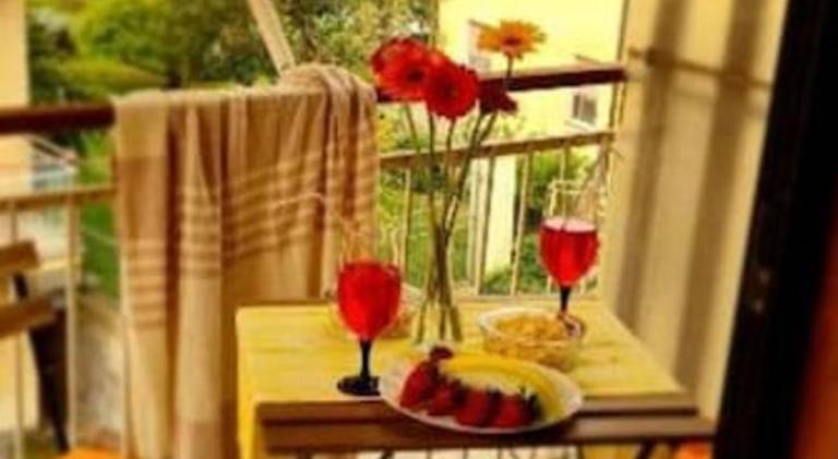 Wonderful rental apartment | Close to the beach | Pets are welcome — photo 4