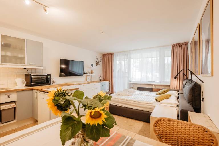 Wonderful apartment with yard, terrace & sauna | Pet-friendly in Straubing