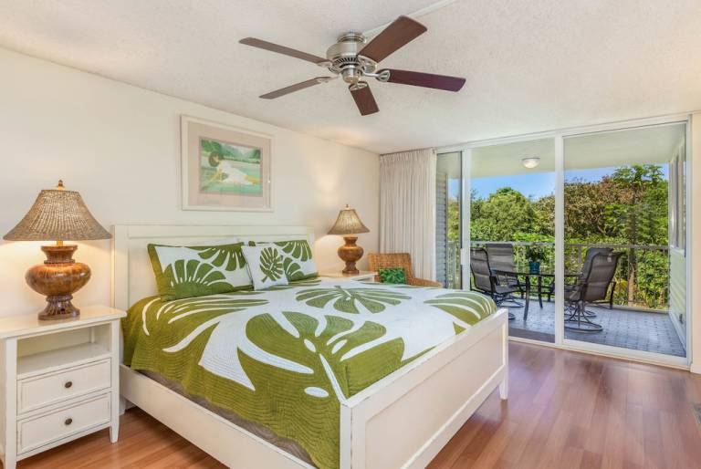 Condo Hanalei