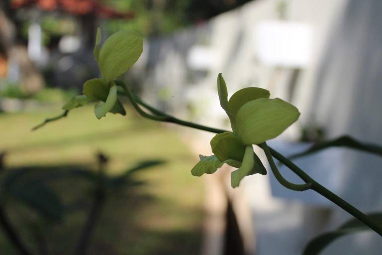 foto41