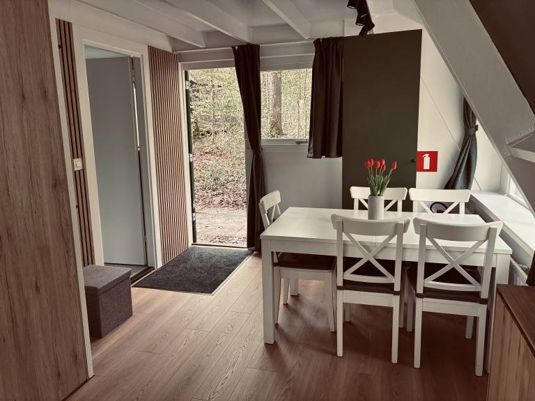 foto19
