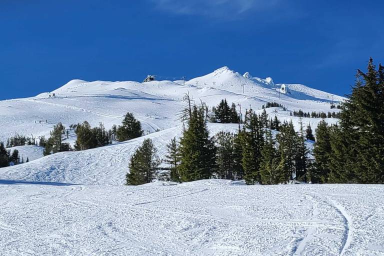 'Nature Retreat' at Seventh Mountain Resort! — photo 3