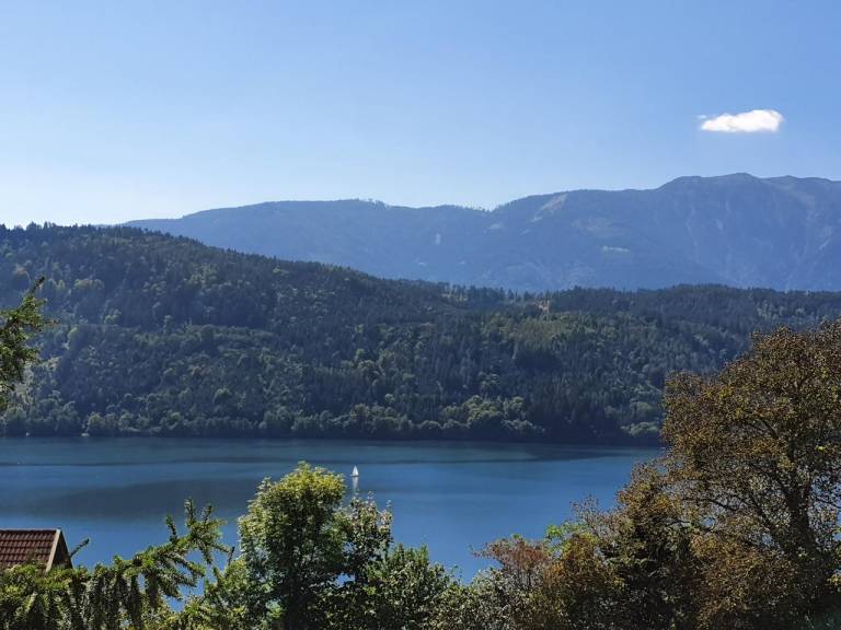 foto24