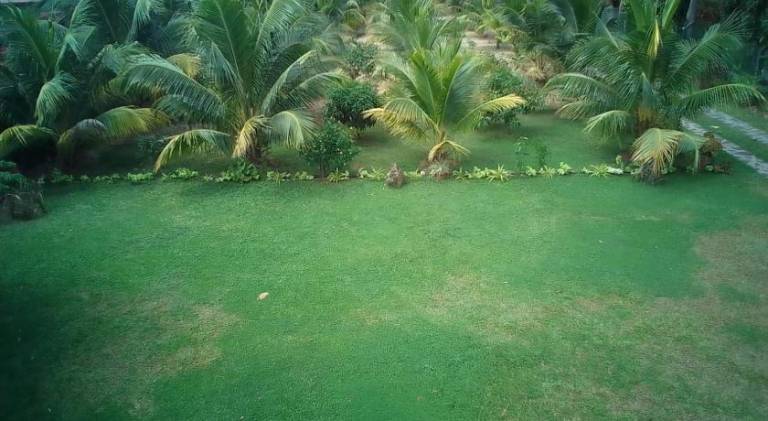 foto38