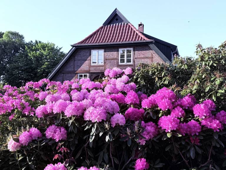 foto28