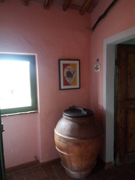 foto20