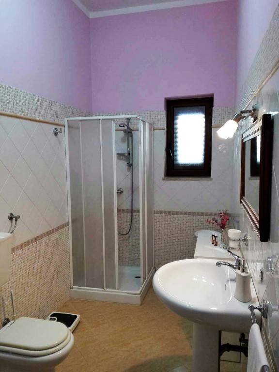 foto14