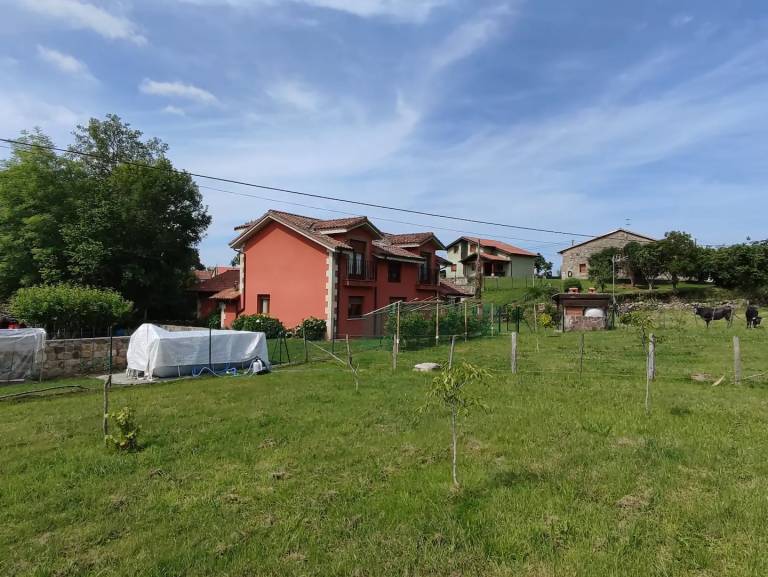 foto31