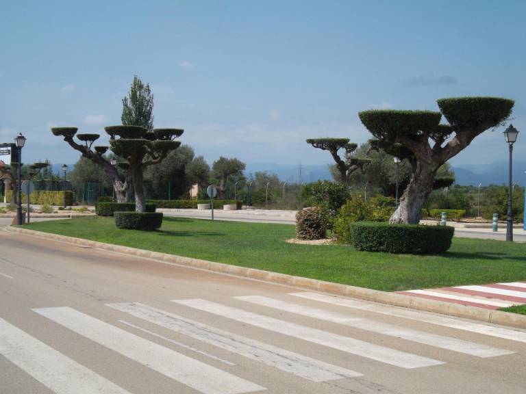 foto33