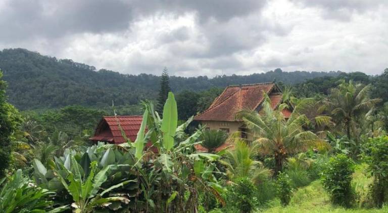 Lodge with terrace | Pets allowed — photo 4