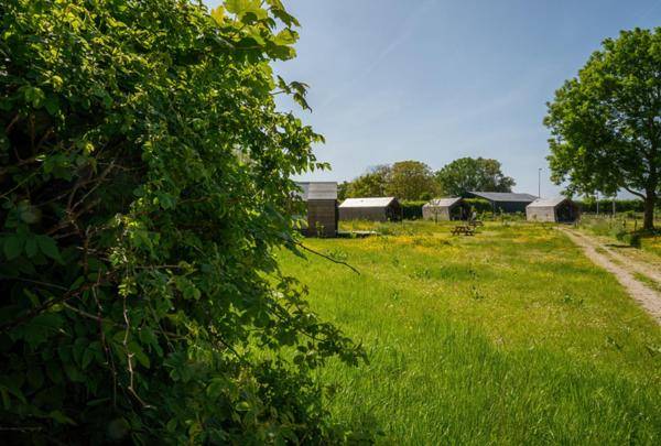 foto23
