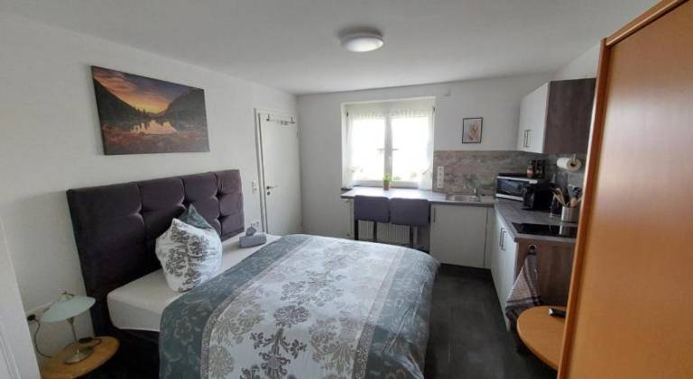 Rental apartment with terrace, BBQ & yard in Wertheim