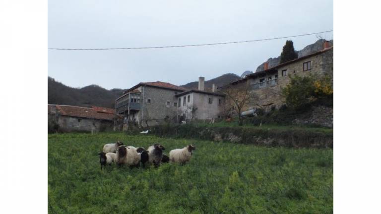 Casa rural Colio