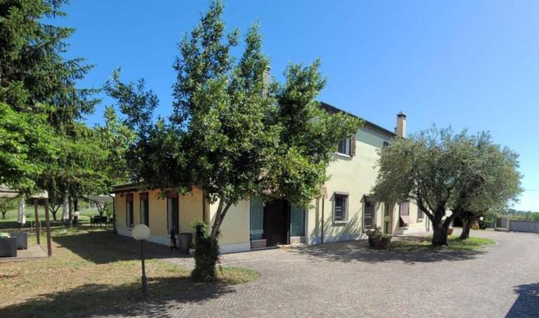 Villa with yard & barbecue | Garden view — photo 4