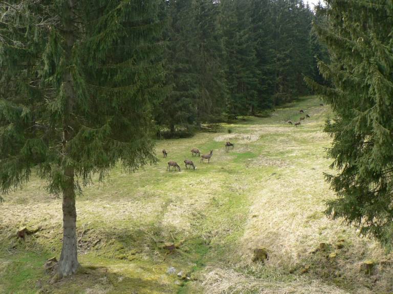 foto16