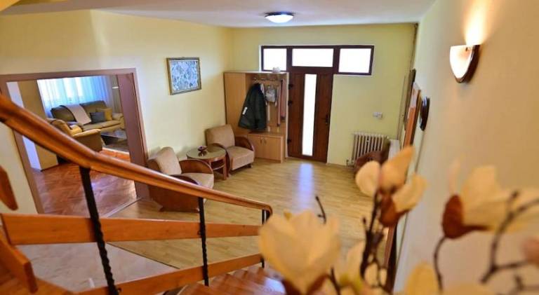 Spacious villa | Pets are welcome — photo 4